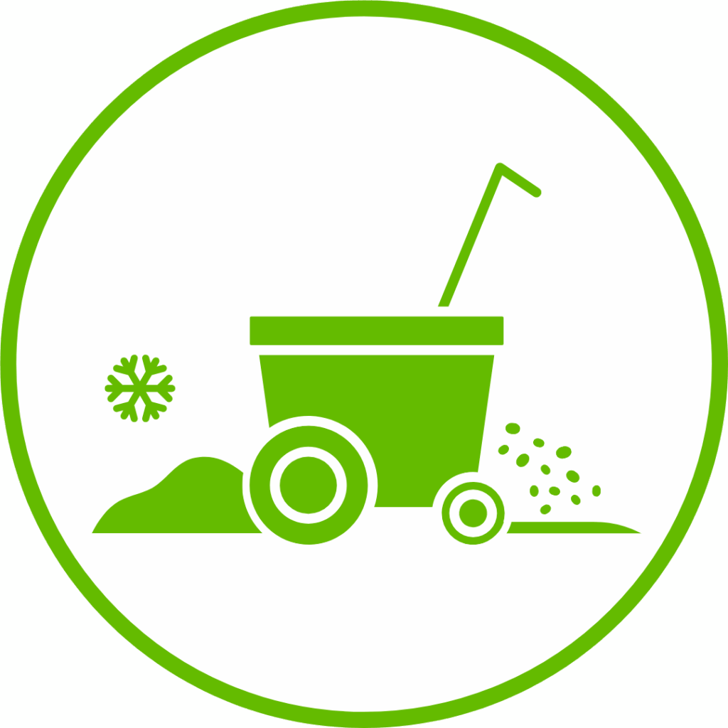 Salting Icon W+G
